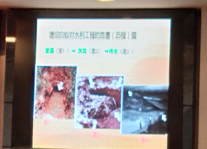 蟻防治技術(shù)培訓班